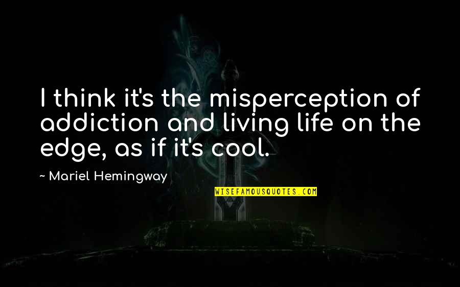 The Edge In Life Quotes By Mariel Hemingway: I think it's the misperception of addiction and