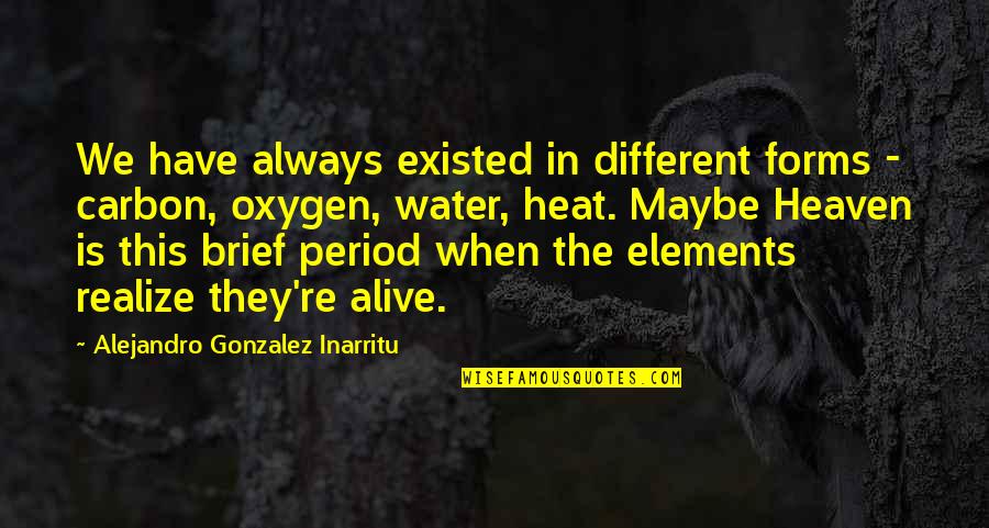 The Elements Quotes By Alejandro Gonzalez Inarritu: We have always existed in different forms -