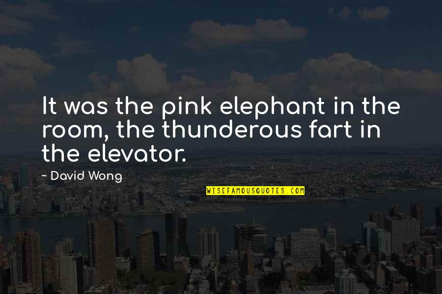 The Elephant In The Room Quotes By David Wong: It was the pink elephant in the room,