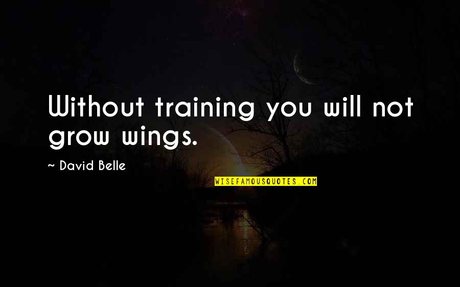 The End Of Vacation Quotes By David Belle: Without training you will not grow wings.