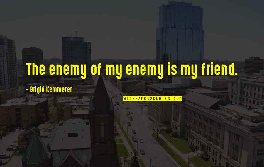 The Enemy Of The Enemy Is My Friend Quotes By Brigid Kemmerer: The enemy of my enemy is my friend.