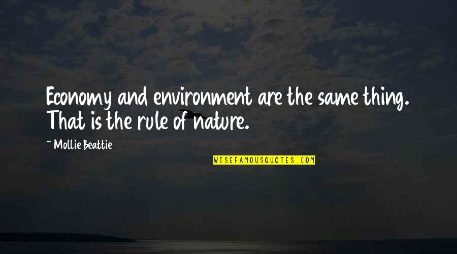 The Environment And Nature Quotes By Mollie Beattie: Economy and environment are the same thing. That