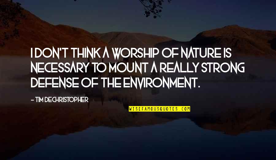 The Environment And Nature Quotes By Tim DeChristopher: I don't think a worship of nature is