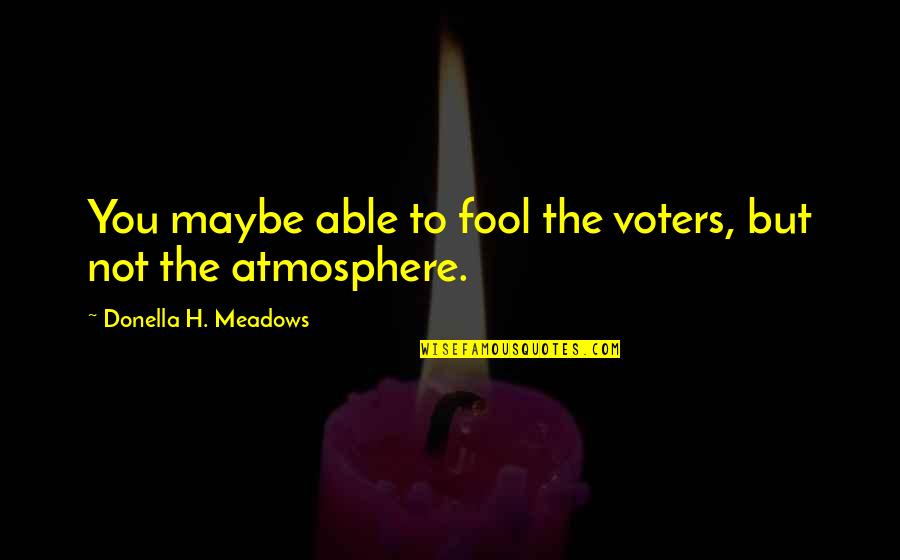 The Environment And Sustainability Quotes By Donella H. Meadows: You maybe able to fool the voters, but