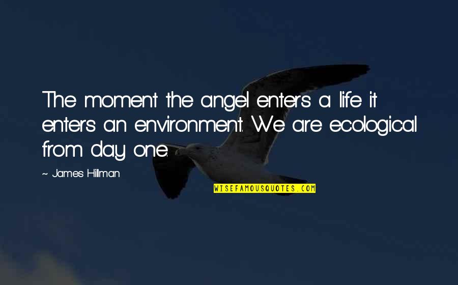 The Environment Quotes By James Hillman: The moment the angel enters a life it