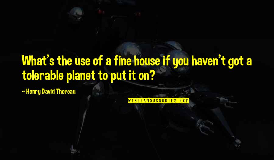 The Environmental Protection Quotes By Henry David Thoreau: What's the use of a fine house if