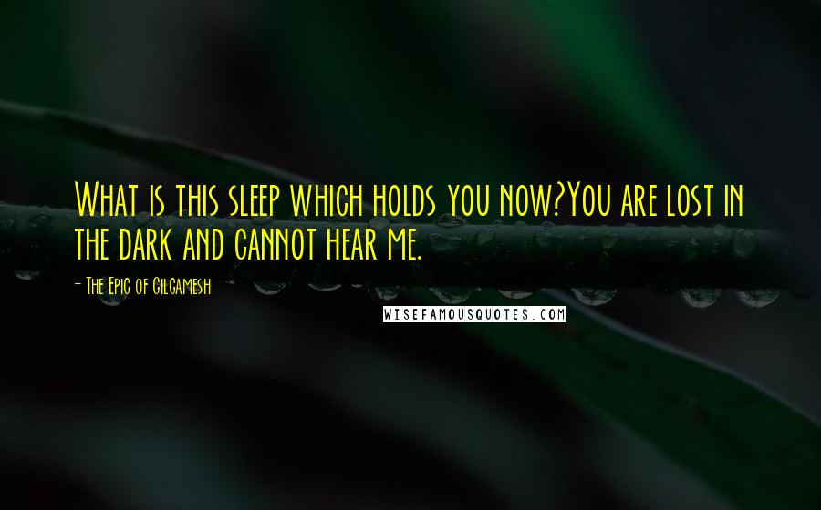 The Epic Of Gilgamesh quotes: What is this sleep which holds you now?You are lost in the dark and cannot hear me.