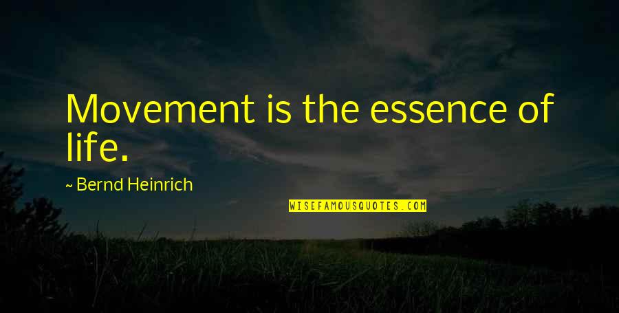 The Essence Of Life Quotes By Bernd Heinrich: Movement is the essence of life. The Essence Of Life Quotes By Bernd Heinrich: Movement is the essence of life.