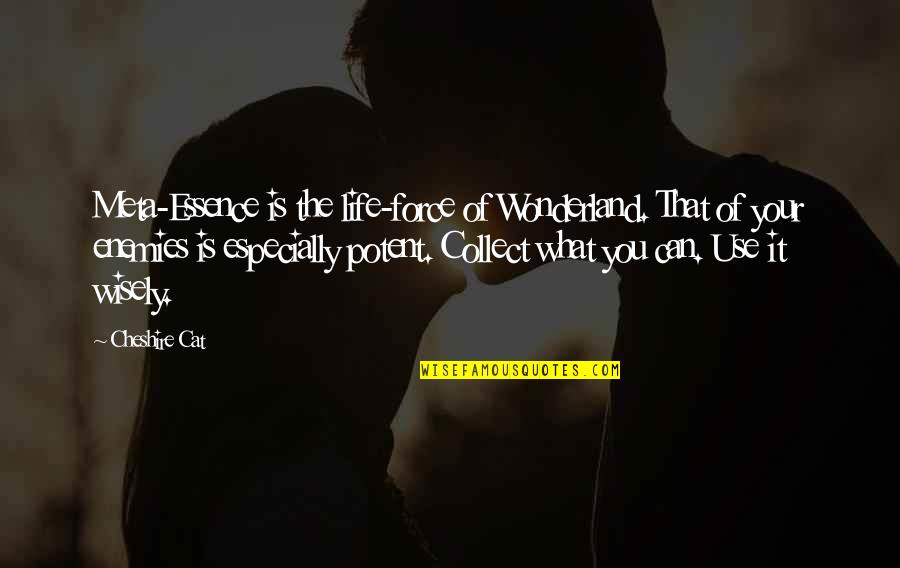 The Essence Of Life Quotes By Cheshire Cat: Meta-Essence is the life-force of Wonderland. That of The Essence Of Life Quotes By Cheshire Cat: Meta-Essence is the life-force of Wonderland. That of