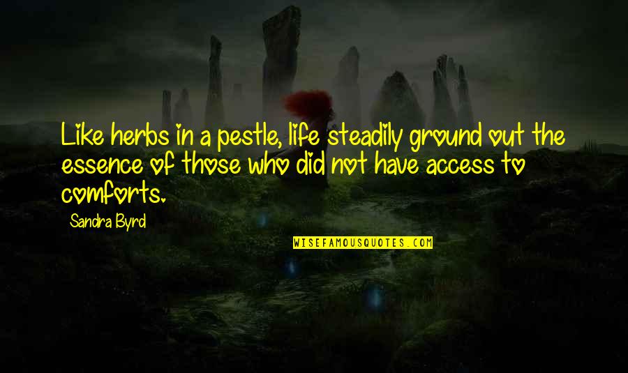 The Essence Of Life Quotes By Sandra Byrd: Like herbs in a pestle, life steadily ground The Essence Of Life Quotes By Sandra Byrd: Like herbs in a pestle, life steadily ground