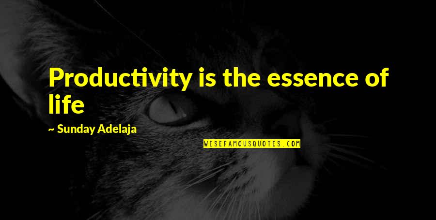 The Essence Of Life Quotes By Sunday Adelaja: Productivity is the essence of life The Essence Of Life Quotes By Sunday Adelaja: Productivity is the essence of life