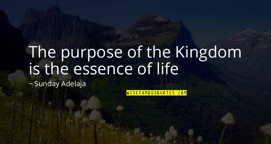 The Essence Of Life Quotes By Sunday Adelaja: The purpose of the Kingdom is the essence The Essence Of Life Quotes By Sunday Adelaja: The purpose of the Kingdom is the essence