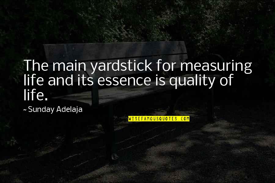 The Essence Of Life Quotes By Sunday Adelaja: The main yardstick for measuring life and its