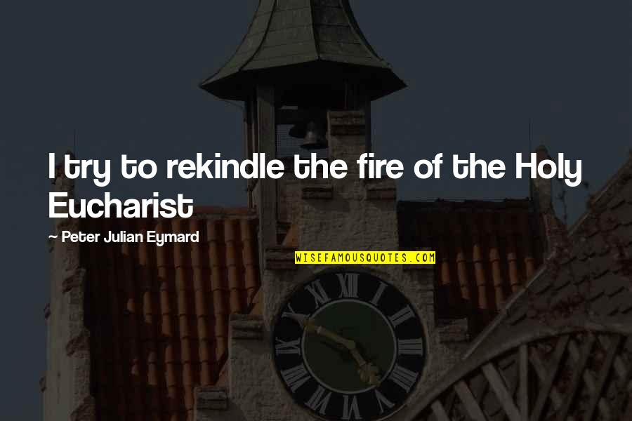 The Eucharist Quotes By Peter Julian Eymard: I try to rekindle the fire of the The Eucharist Quotes By Peter Julian Eymard: I try to rekindle the fire of the