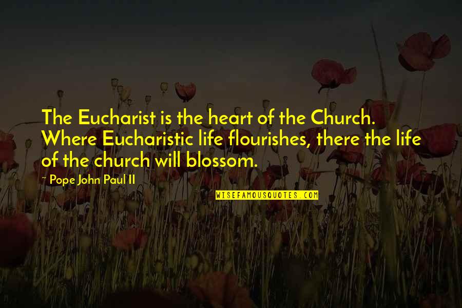 The Eucharist Quotes By Pope John Paul II: The Eucharist is the heart of the Church.