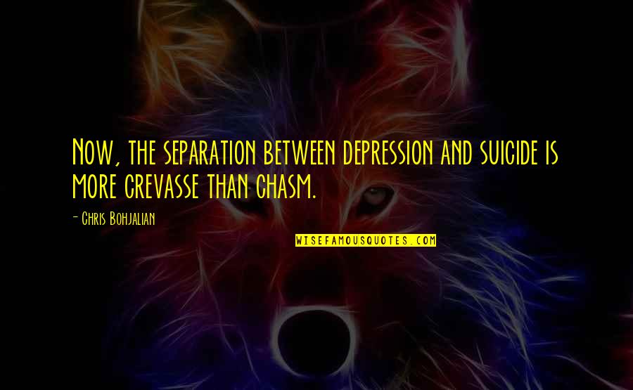 The Evening Star Movie Quotes By Chris Bohjalian: Now, the separation between depression and suicide is