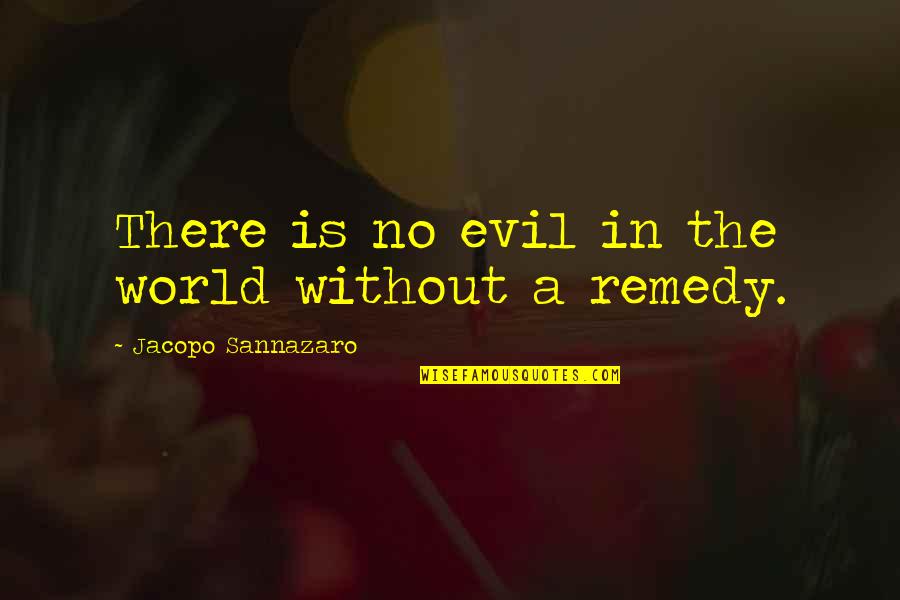 The Evil In The World Quotes By Jacopo Sannazaro: There is no evil in the world without