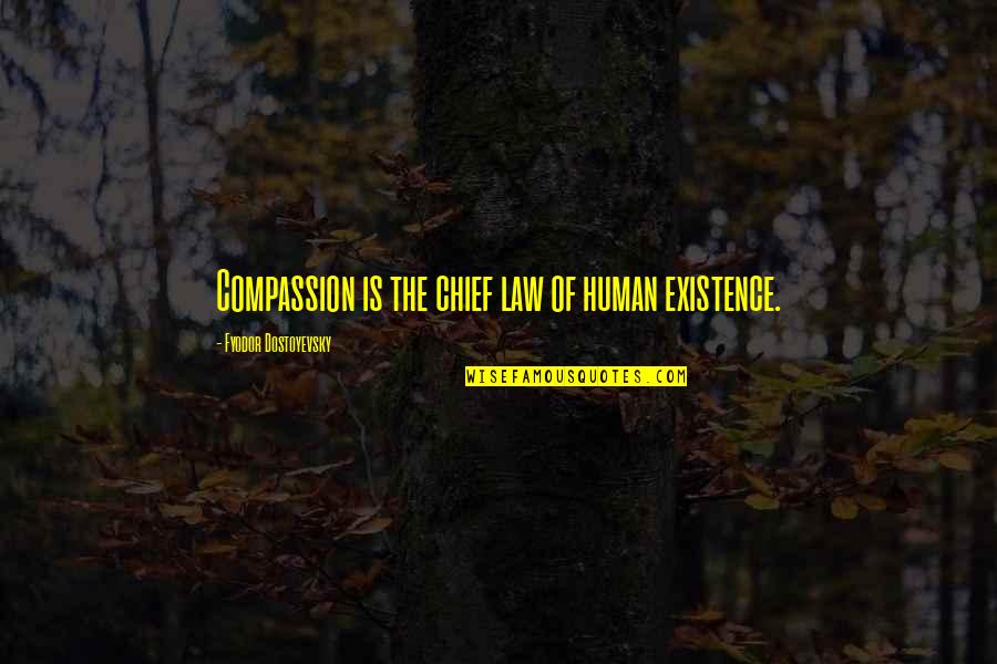 The Existence Of Humanity Quotes By Fyodor Dostoyevsky: Compassion is the chief law of human existence.