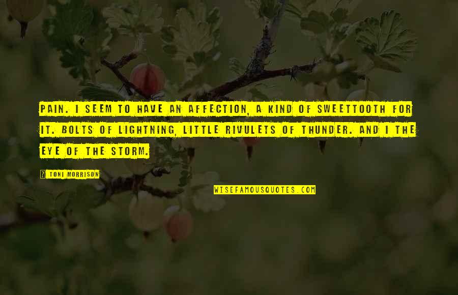 The Eye Of The Storm Quotes By Toni Morrison: Pain. I seem to have an affection, a The Eye Of The Storm Quotes By Toni Morrison: Pain. I seem to have an affection, a
