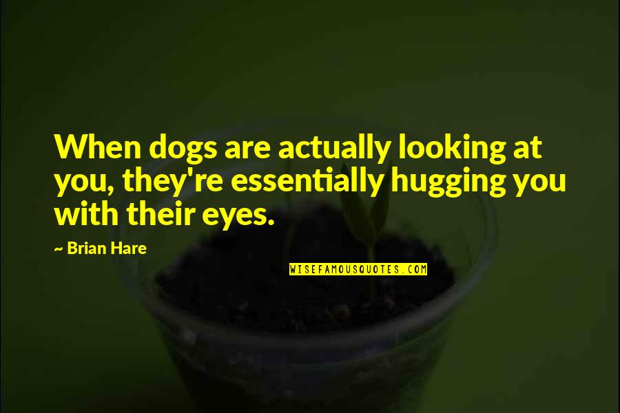 The Eyes Of A Dog Quotes By Brian Hare: When dogs are actually looking at you, they're The Eyes Of A Dog Quotes By Brian Hare: When dogs are actually looking at you, they're