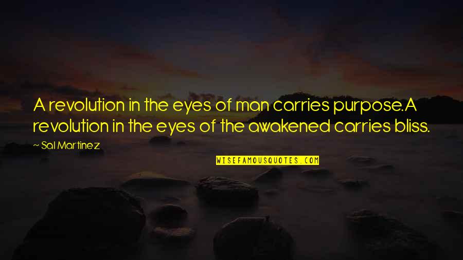 The Eyes Of A Man Quotes By Sal Martinez: A revolution in the eyes of man carries