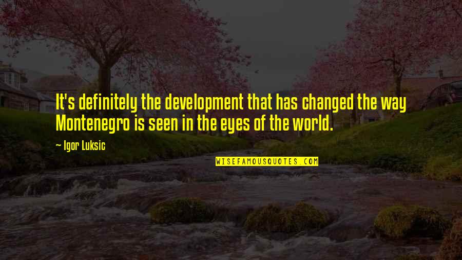 The Eyes Quotes By Igor Luksic: It's definitely the development that has changed the