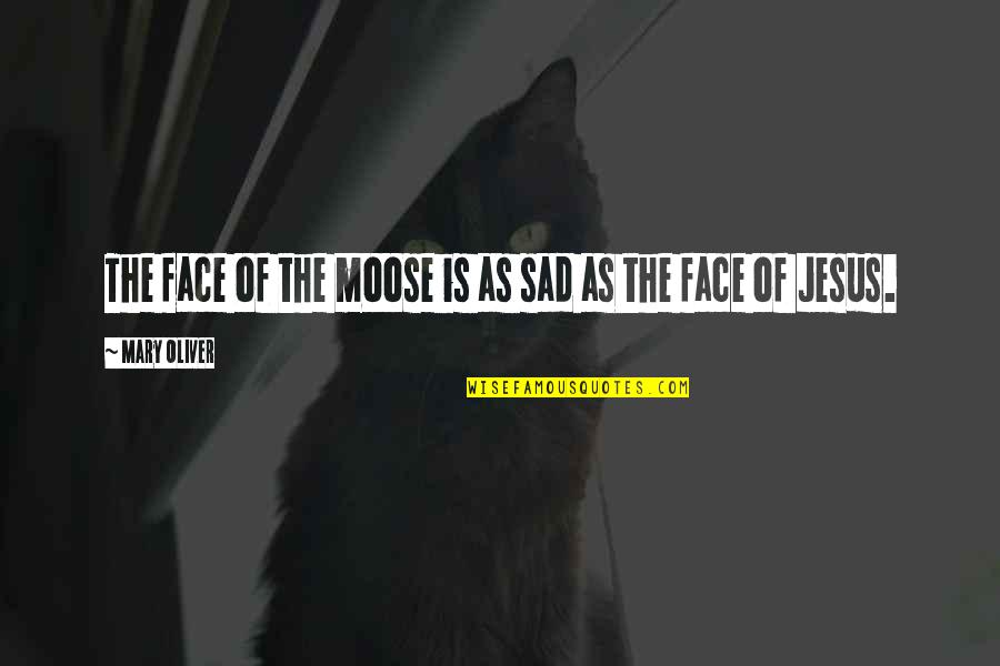 The Face Of Jesus Quotes By Mary Oliver: The face of the moose is as sad