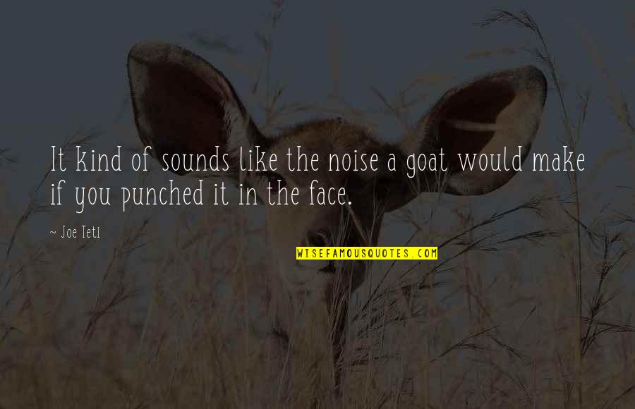 The Face You Make Quotes By Joe Teti: It kind of sounds like the noise a