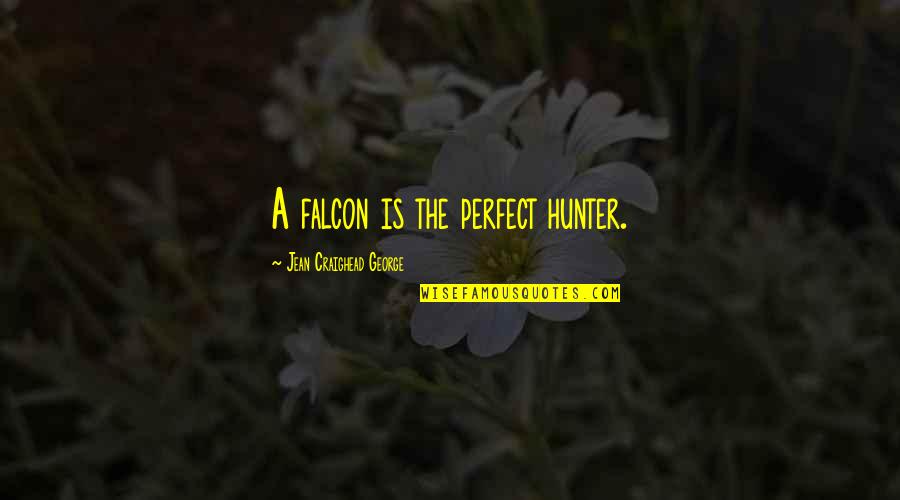 The Falcon Quotes By Jean Craighead George: A falcon is the perfect hunter.
