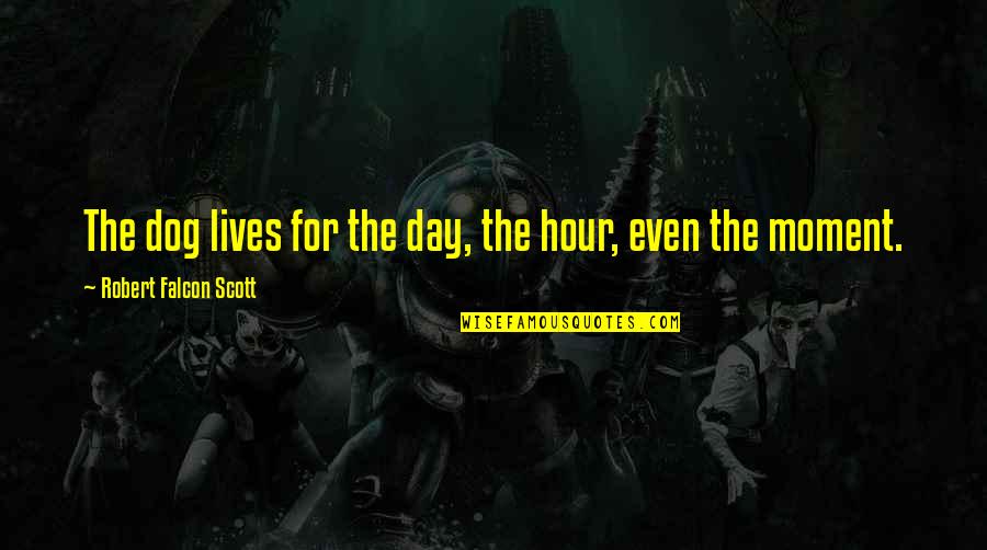 The Falcon Quotes By Robert Falcon Scott: The dog lives for the day, the hour, The Falcon Quotes By Robert Falcon Scott: The dog lives for the day, the hour,