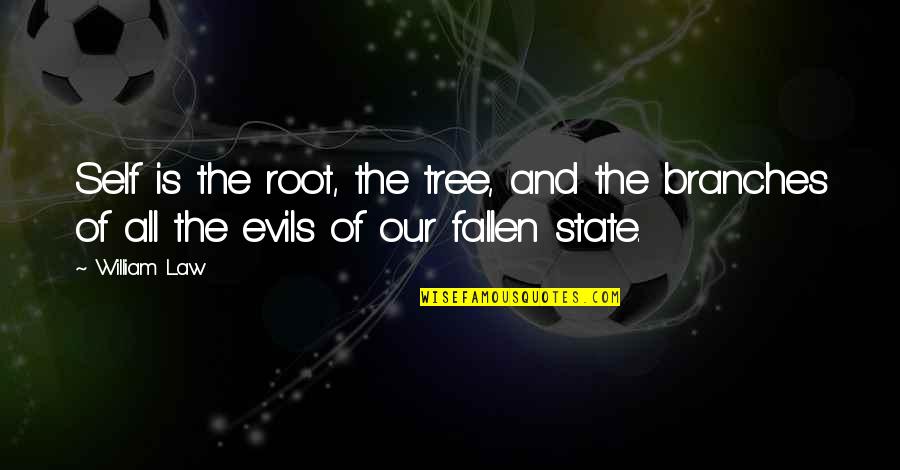 The Fallen Quotes By William Law: Self is the root, the tree, and the