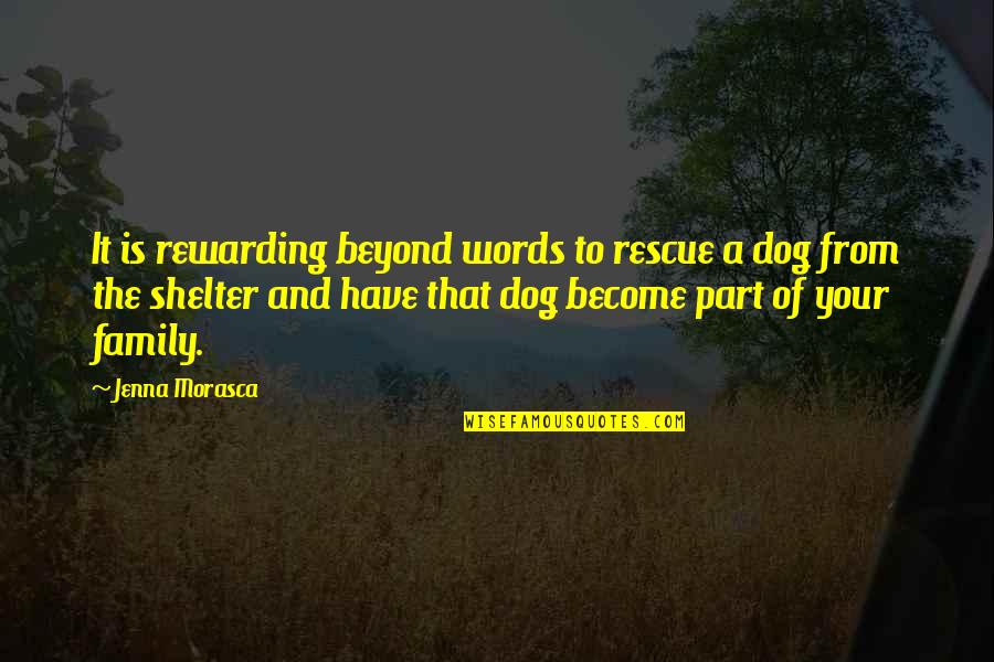 The Family Dog Quotes By Jenna Morasca: It is rewarding beyond words to rescue a
