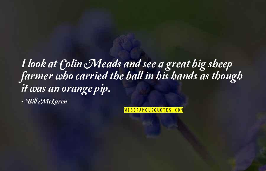 The Farmer Quotes By Bill McLaren: I look at Colin Meads and see a The Farmer Quotes By Bill McLaren: I look at Colin Meads and see a