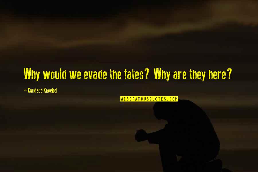 The Fates Quotes By Candace Knoebel: Why would we evade the fates? Why are