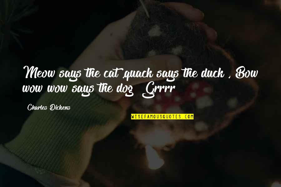 The Favorite Quotes By Charles Dickens: Meow says the cat ,quack says the duck