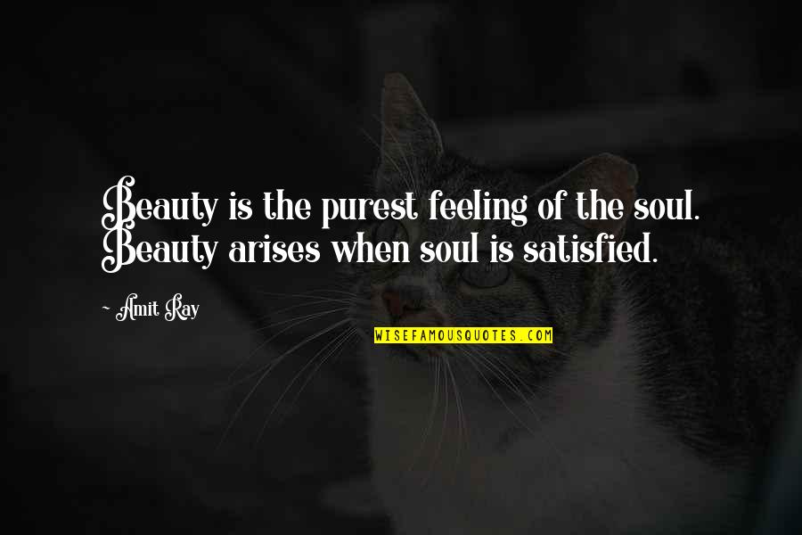 The Feeling Of Happiness Quotes By Amit Ray: Beauty is the purest feeling of the soul.