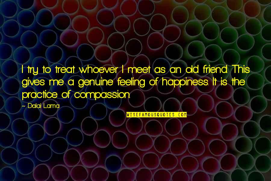 The Feeling Of Happiness Quotes By Dalai Lama: I try to treat whoever I meet as