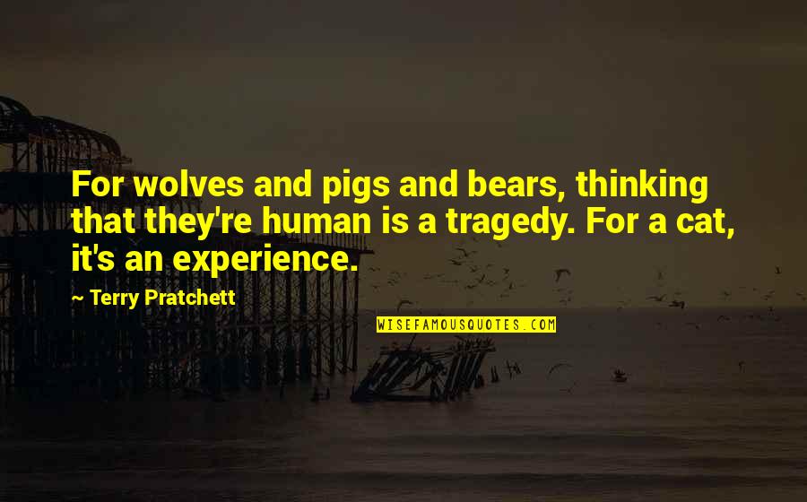 The Fellowship Of The Ring Movie Quotes By Terry Pratchett: For wolves and pigs and bears, thinking that The Fellowship Of The Ring Movie Quotes By Terry Pratchett: For wolves and pigs and bears, thinking that