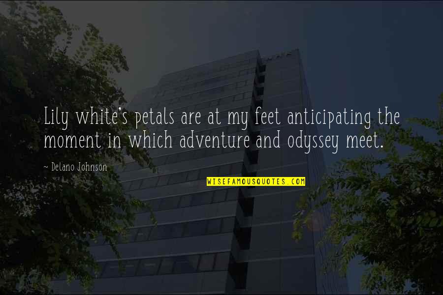 The Female Persuasion Quotes By Delano Johnson: Lily white's petals are at my feet anticipating