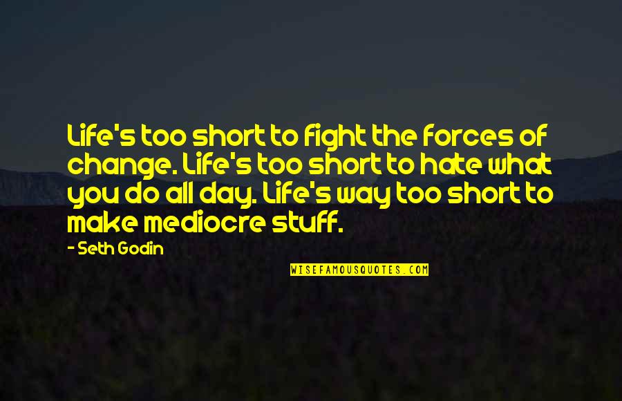 The Fight Of Life Quotes By Seth Godin: Life's too short to fight the forces of