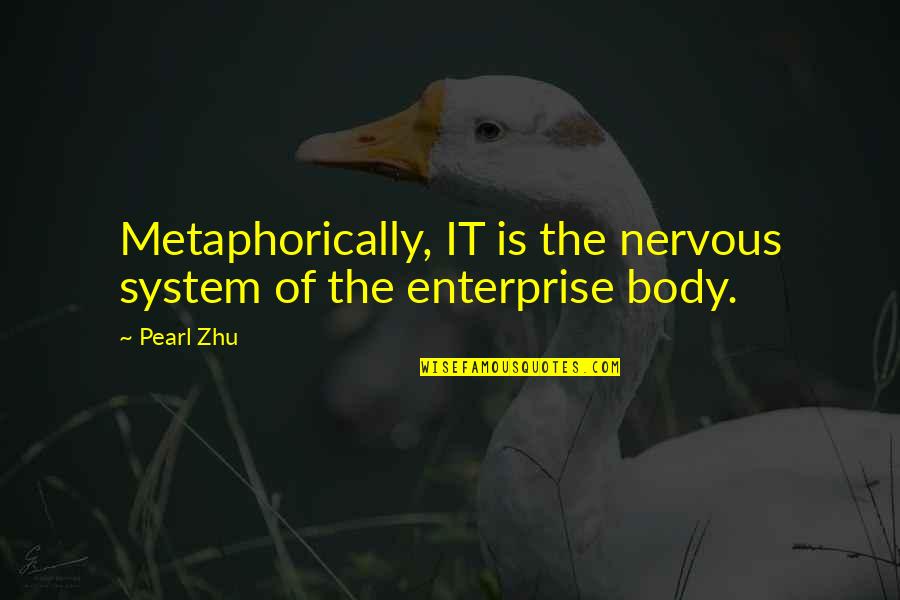 The Fighting Sullivans Quotes By Pearl Zhu: Metaphorically, IT is the nervous system of the