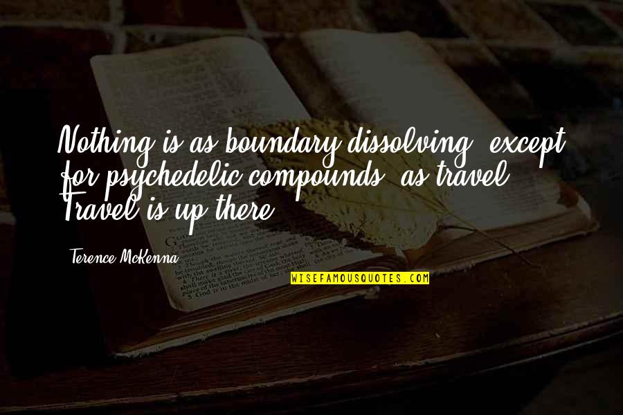The Fire Lotf Quotes By Terence McKenna: Nothing is as boundary dissolving, except for psychedelic The Fire Lotf Quotes By Terence McKenna: Nothing is as boundary dissolving, except for psychedelic