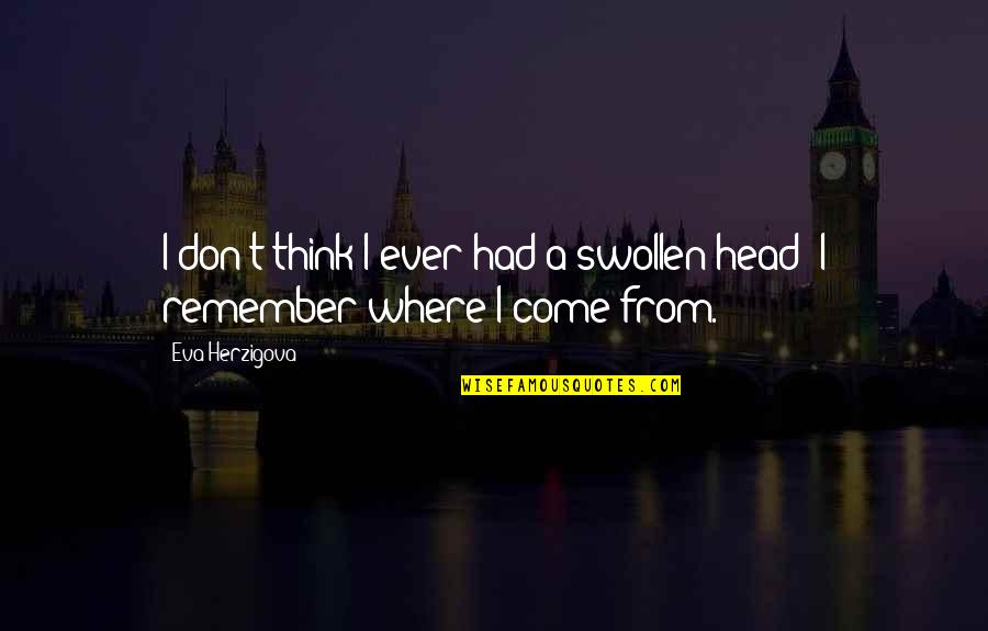 The Firm Gary Oldman Quotes By Eva Herzigova: I don't think I ever had a swollen