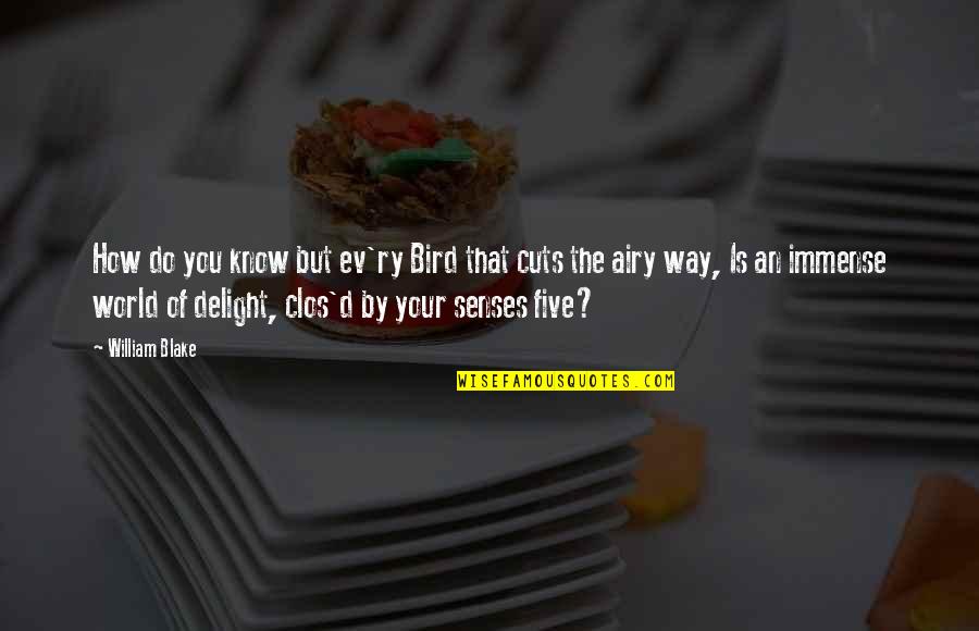 The Five Senses Quotes By William Blake: How do you know but ev'ry Bird that The Five Senses Quotes By William Blake: How do you know but ev'ry Bird that