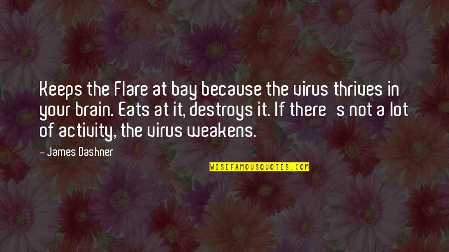 The Flare Quotes By James Dashner: Keeps the Flare at bay because the virus The Flare Quotes By James Dashner: Keeps the Flare at bay because the virus