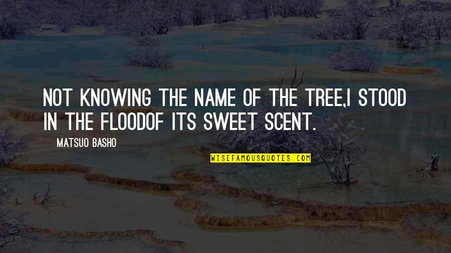 The Flood Quotes By Matsuo Basho: Not knowing the name of the tree,I stood