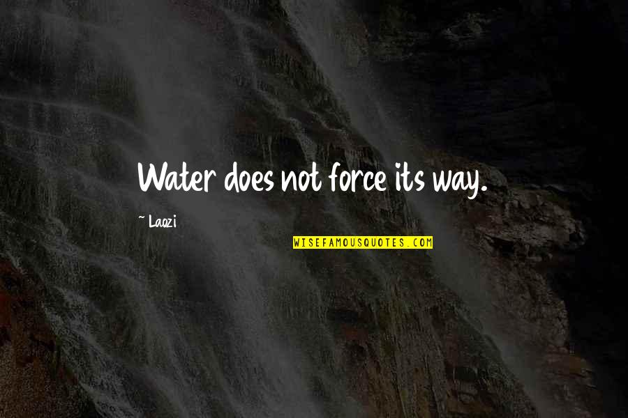 The Force Of Water Quotes By Laozi: Water does not force its way.