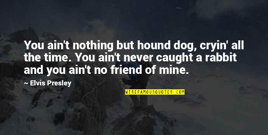 The Friendship Of A Dog Quotes By Elvis Presley: You ain't nothing but hound dog, cryin' all The Friendship Of A Dog Quotes By Elvis Presley: You ain't nothing but hound dog, cryin' all