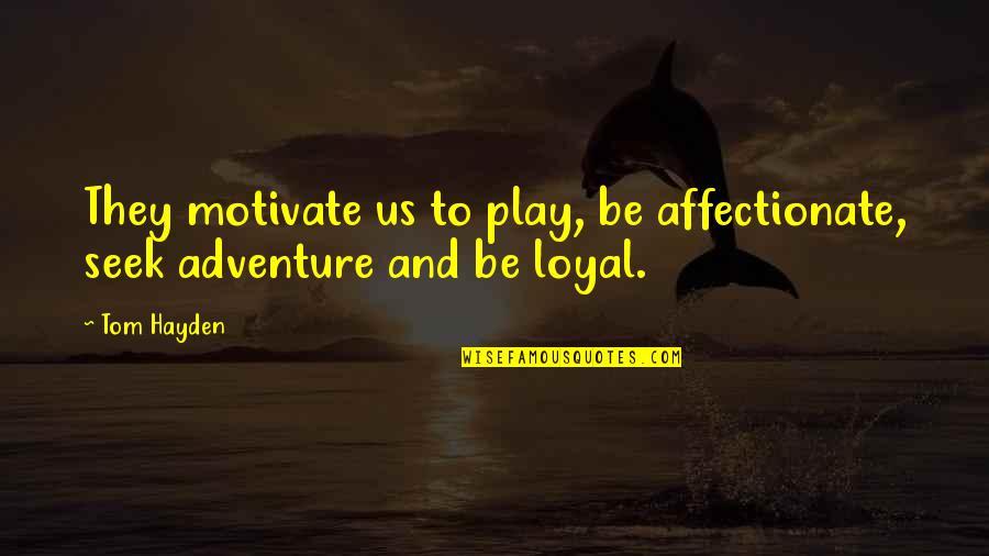 The Friendship Of A Dog Quotes By Tom Hayden: They motivate us to play, be affectionate, seek