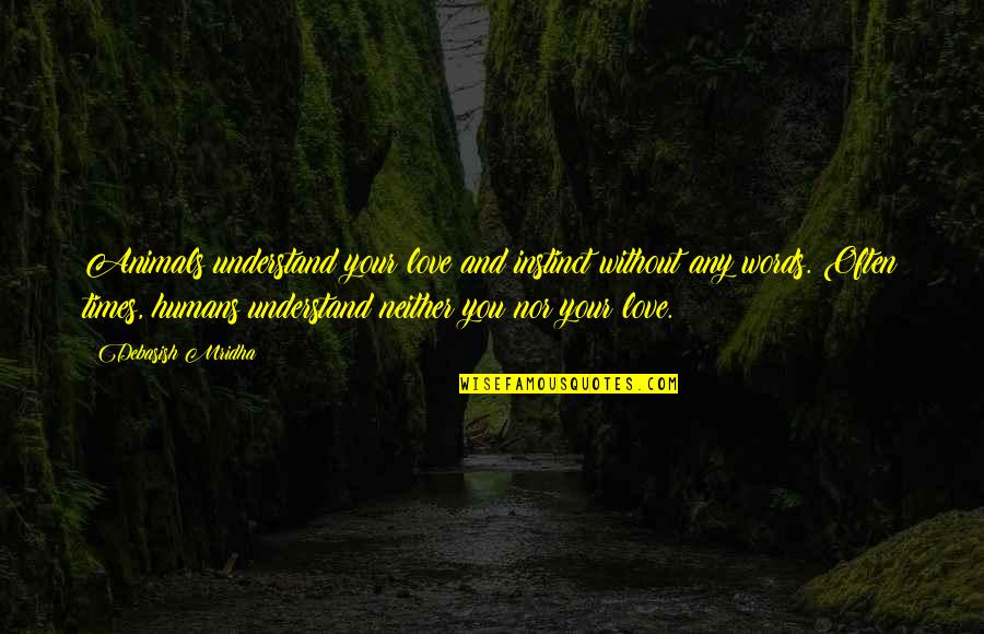 The Future Career Quotes By Debasish Mridha: Animals understand your love and instinct without any The Future Career Quotes By Debasish Mridha: Animals understand your love and instinct without any
